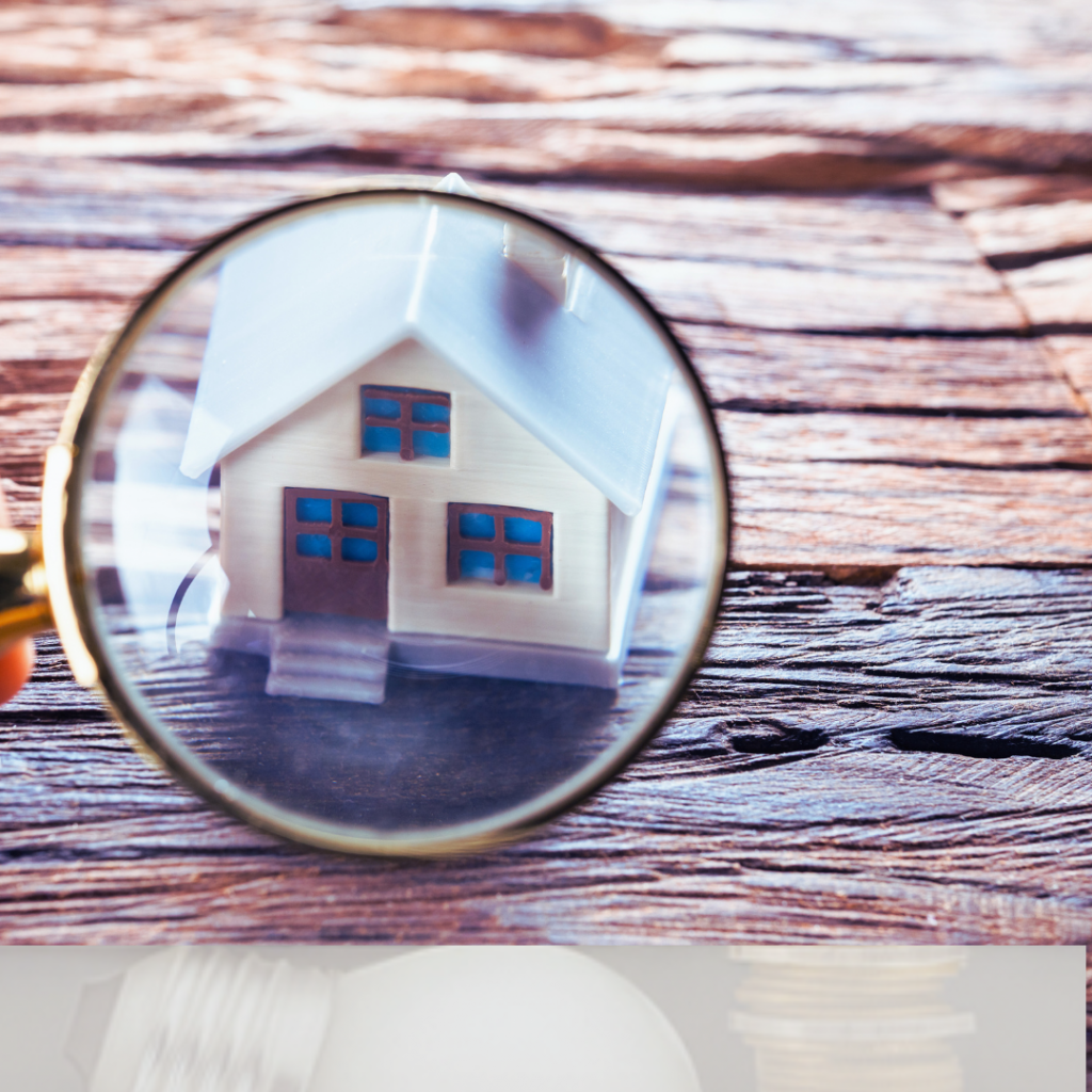 agence spécialisée en investissement locatif