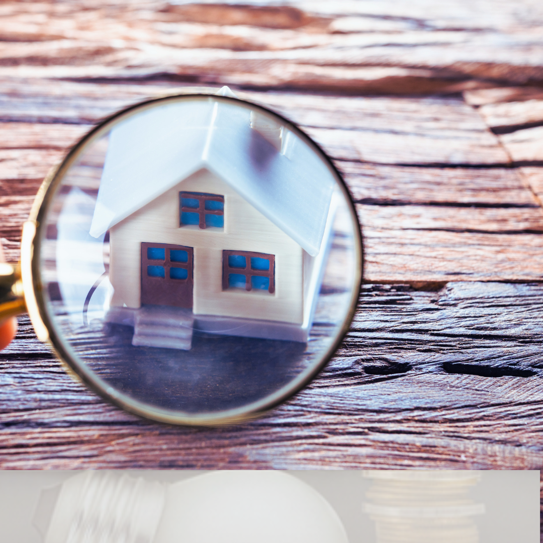 agence spécialisée en investissement locatif